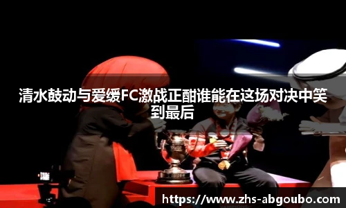清水鼓动与爱缓FC激战正酣谁能在这场对决中笑到最后